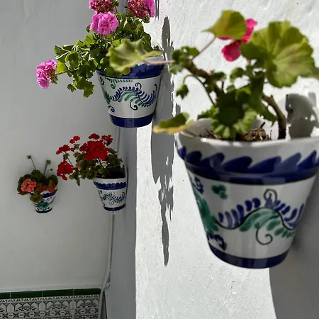 Casa Herrete 15 *